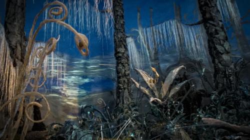 Karolina Rosinska CV 7